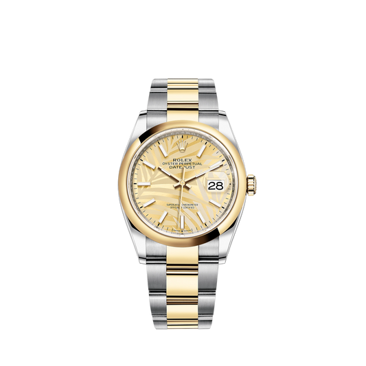 126203-0038 Rolex Datejust Oyster Palm Champ Dial 36mm